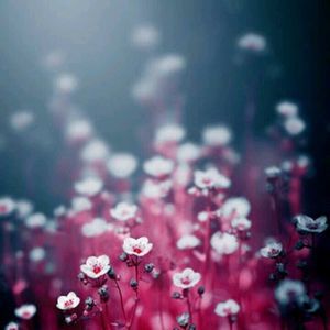 Meet your Posher, Colton